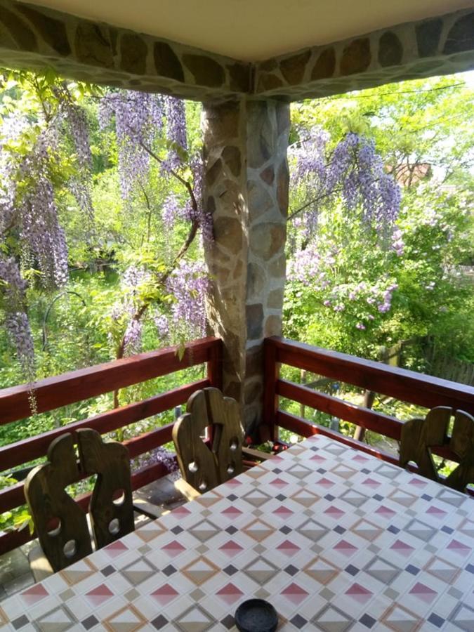 Casa Kelemen Apartment Sovata Luaran gambar